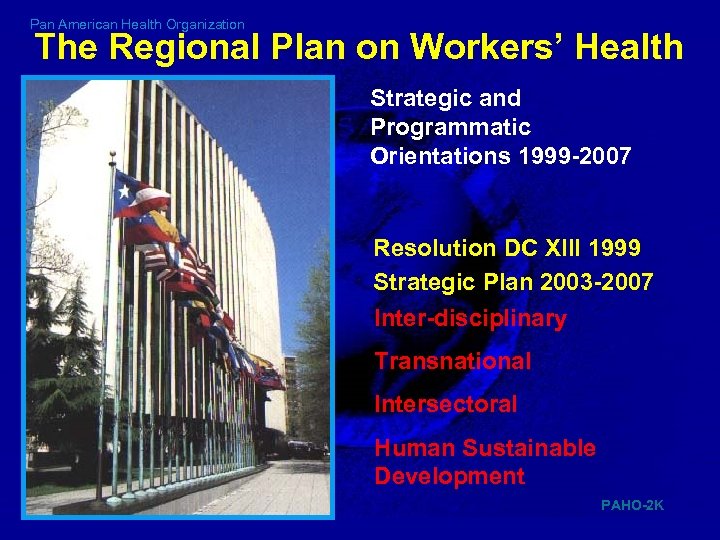 Pan American Health Organization The Regional Plan on Workers’ Health Strategic and Programmatic Orientations