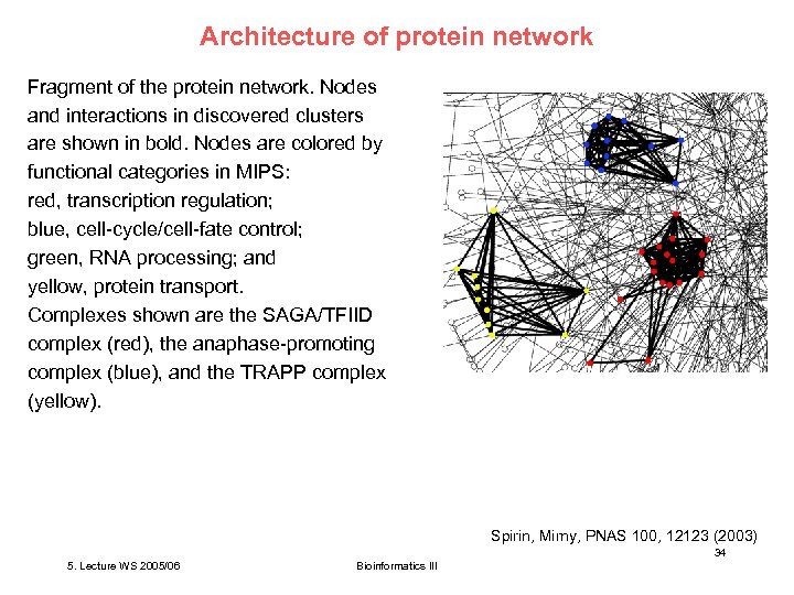 Architecture of protein network Fragment of the protein network. Nodes and interactions in discovered