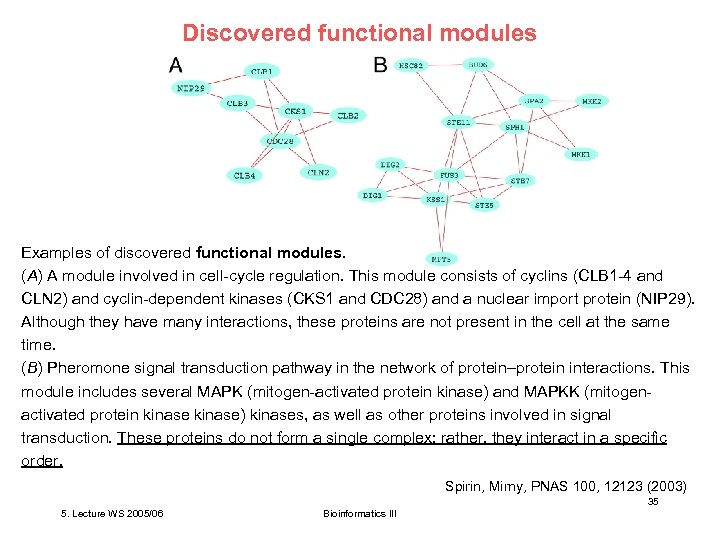 Discovered functional modules Examples of discovered functional modules. (A) A module involved in cell-cycle