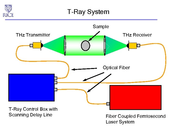 T-Ray System Sample THz Transmitter THz Receiver Optical Fiber T-Ray Control Box with Scanning
