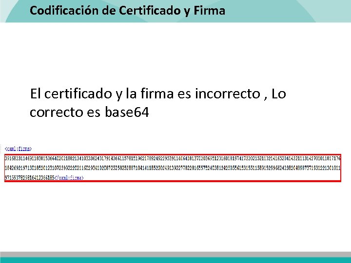 Codificación de Certificado y Firma El certificado y la firma es incorrecto , Lo