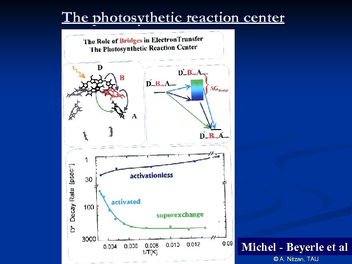 The photosythetic reaction center Michel - Beyerle et al © A. Nitzan, TAU 