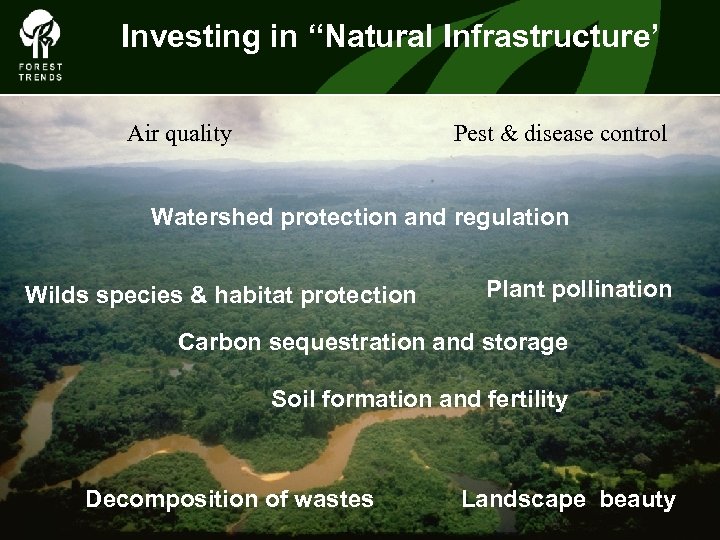 Investing in “Natural Infrastructure’ Air quality Pest & disease control The Forest Climate Alliance