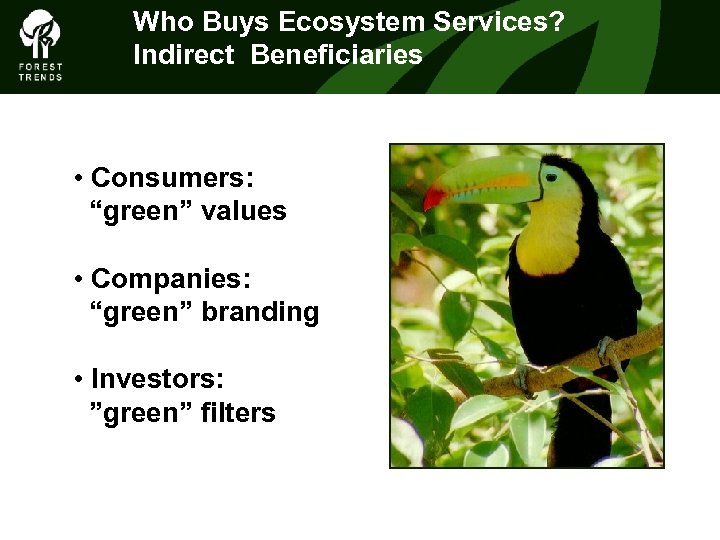 Who Buys Ecosystem Services? THEIndirect Beneficiaries FOREST CLIMATE ALLIANCE • Consumers: “green” values •