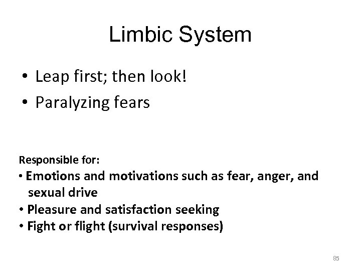 Limbic System • Leap first; then look! • Paralyzing fears Responsible for: • Emotions