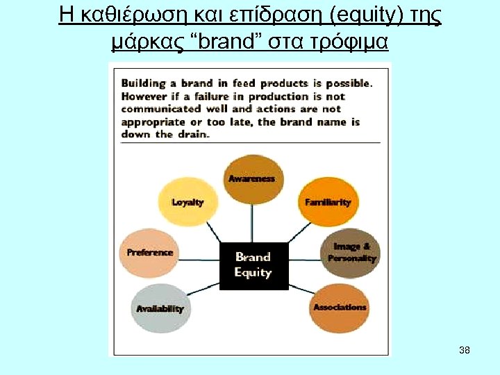 Η καθιέρωση και επίδραση (equity) της μάρκας “brand” στα τρόφιμα 38 