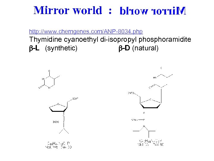 Mirror world : http: //www. chemgenes. com/ANP-8034. php Thymidine cyanoethyl di-isopropyl phosphoramidite b-L (synthetic)