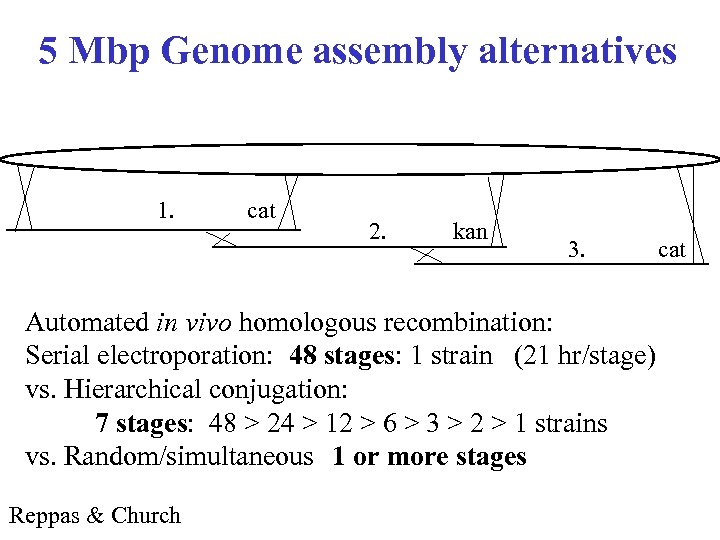 5 Mbp Genome assembly alternatives 1. cat 2. kan 3. Automated in vivo homologous