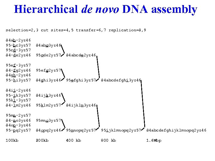 Hierarchical de novo DNA assembly selection=2, 3 cut sites=4, 5 transfer=6, 7 replication=8, 9