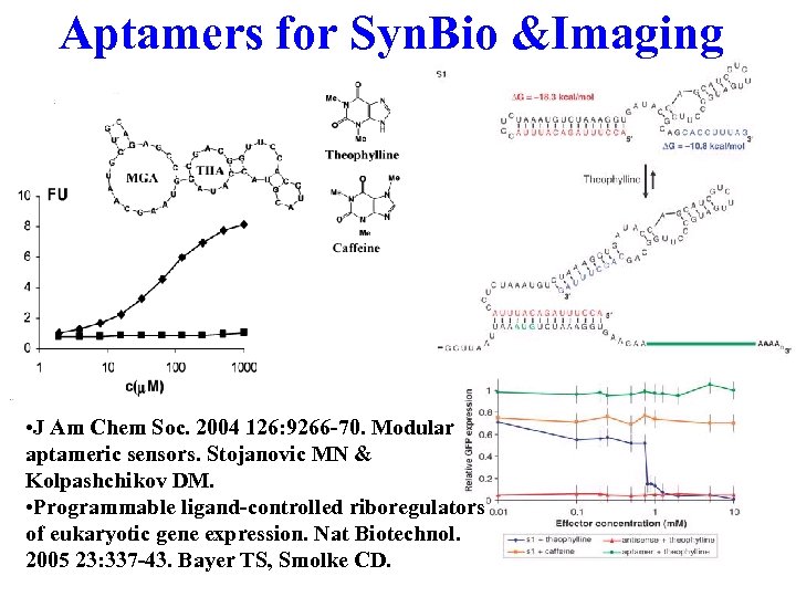 Aptamers for Syn. Bio &Imaging • J Am Chem Soc. 2004 126: 9266 -70.