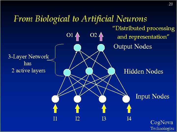 20 From Biological to Artificial Neurons O 1 “Distributed processing and representation” O 2