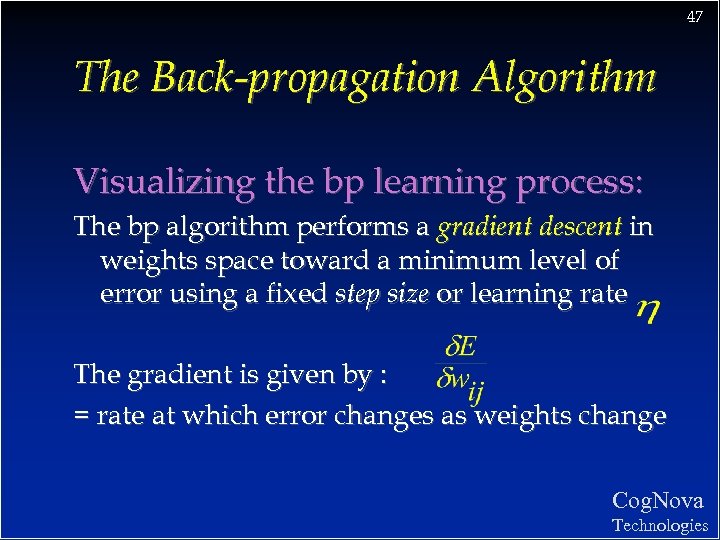 47 The Back-propagation Algorithm Visualizing the bp learning process: The bp algorithm performs a