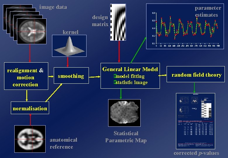 image data parameter estimates design matrix kernel realignment & motion correction General Linear Model