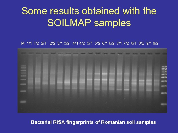 Some results obtained with the SOILMAP samples M 1/1 1/2 2/1 2/2 3/1 3/2