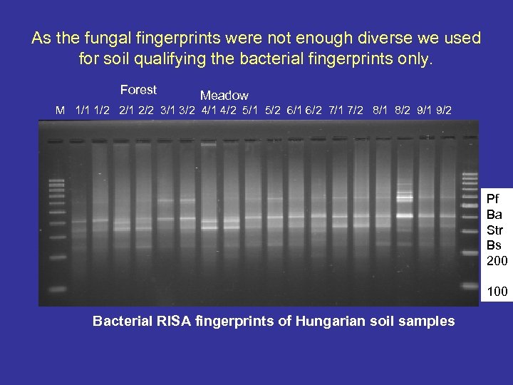 As the fungal fingerprints were not enough diverse we used for soil qualifying the