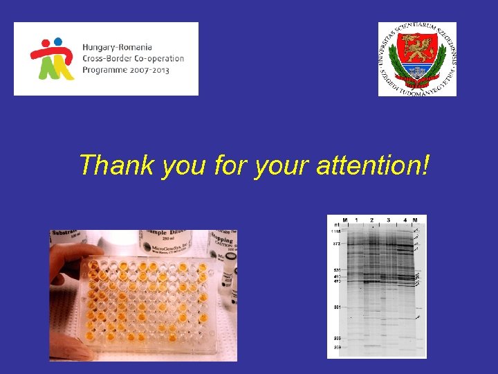 Thank you for your attention! 