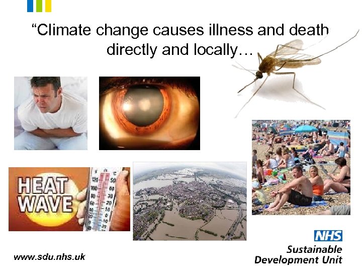 “Climate change causes illness and death directly and locally… www. sdu. nhs. uk 