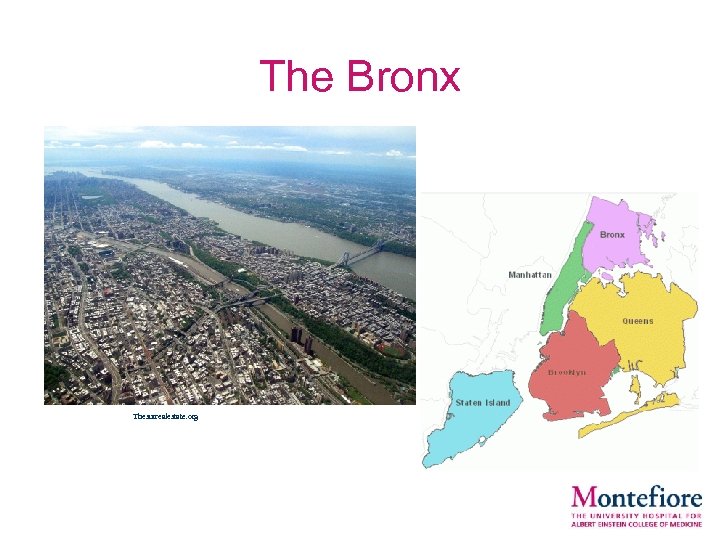 The Bronx Thesurrealestate. org 