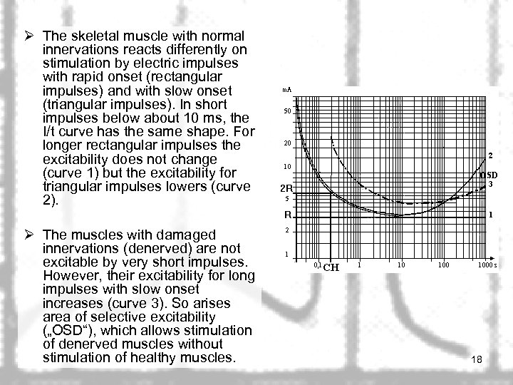 Ø The skeletal muscle with normal innervations reacts differently on stimulation by electric impulses
