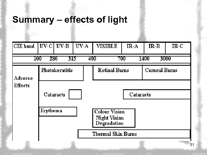 Summary – effects of light 51 