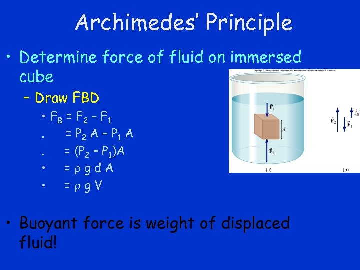 Archimedes’ Principle • Determine force of fluid on immersed cube – Draw FBD •