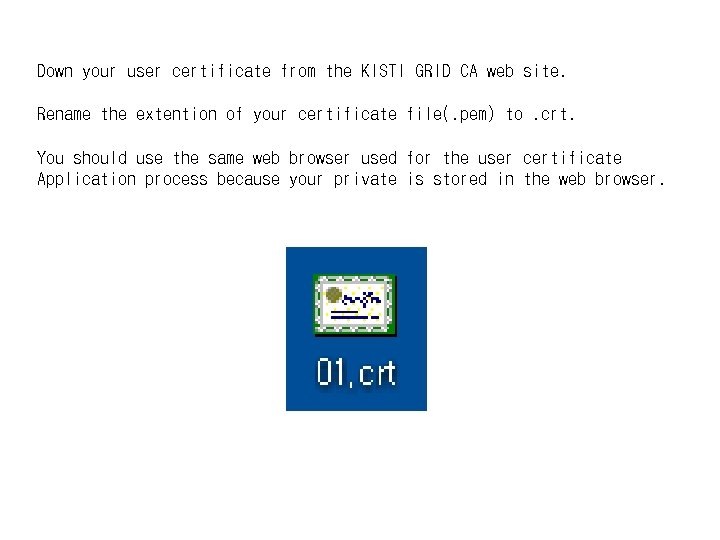 Down your user certificate from the KISTI GRID CA web site. Rename the extention