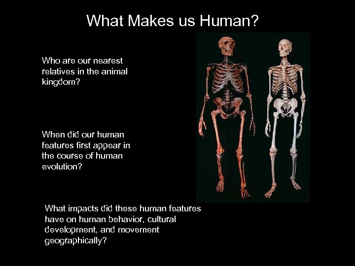 What Makes us Human? Who are our nearest relatives in the animal kingdom? When