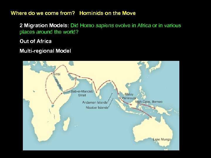 Where do we come from? Hominids on the Move 2 Migration Models: Did Homo
