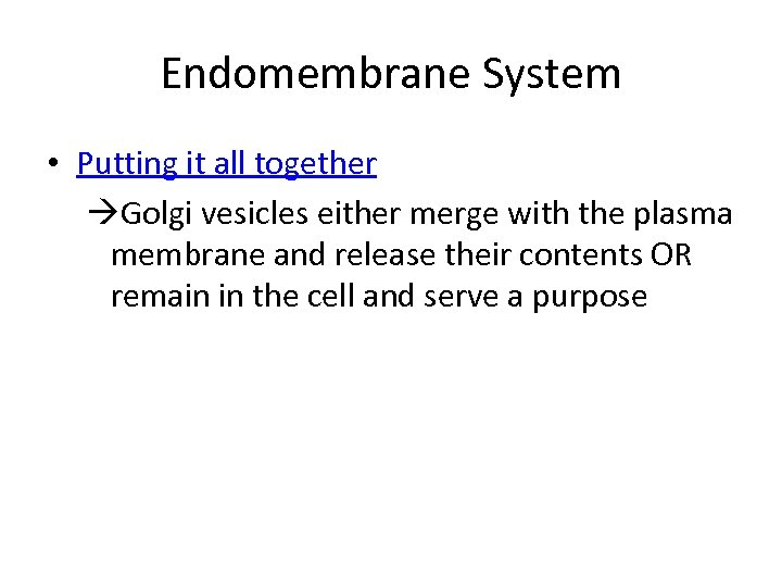 Endomembrane System • Putting it all together Golgi vesicles either merge with the plasma