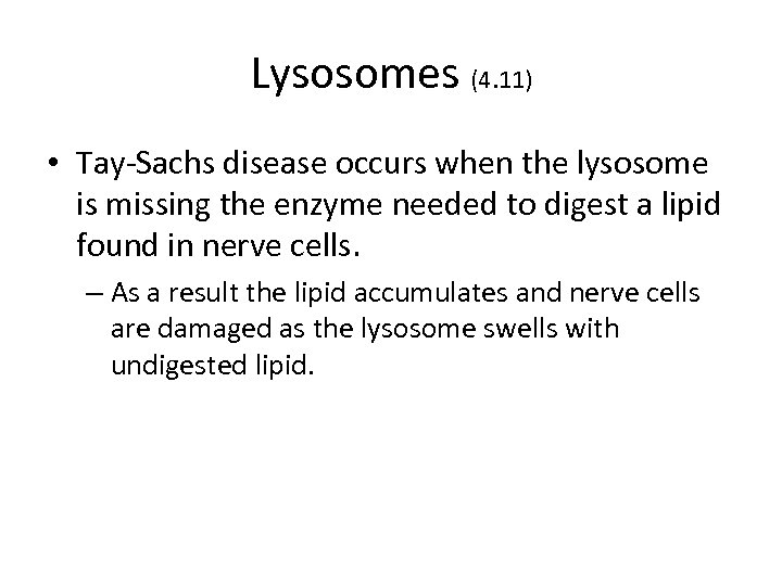 Lysosomes (4. 11) • Tay-Sachs disease occurs when the lysosome is missing the enzyme