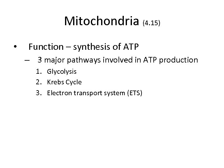 Mitochondria (4. 15) • Function – synthesis of ATP – 3 major pathways involved