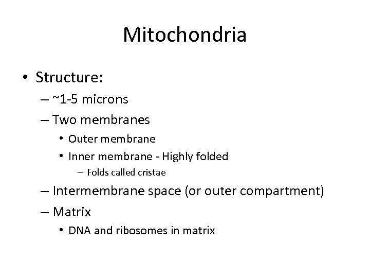 Mitochondria • Structure: – ~1 -5 microns – Two membranes • Outer membrane •