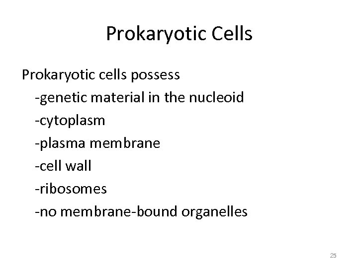 Prokaryotic Cells Prokaryotic cells possess -genetic material in the nucleoid -cytoplasm -plasma membrane -cell