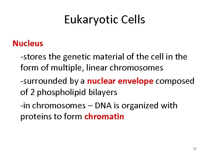 Eukaryotic Cells Nucleus -stores the genetic material of the cell in the form of