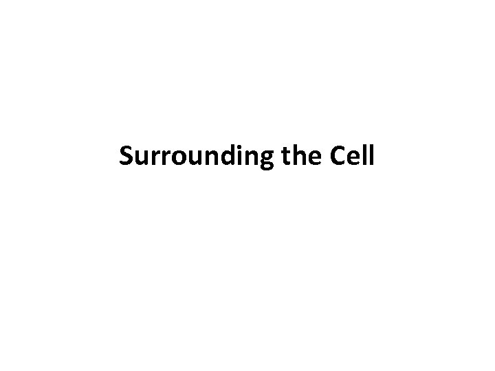 Surrounding the Cell 