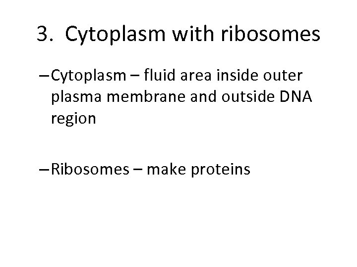 3. Cytoplasm with ribosomes – Cytoplasm – fluid area inside outer plasma membrane and