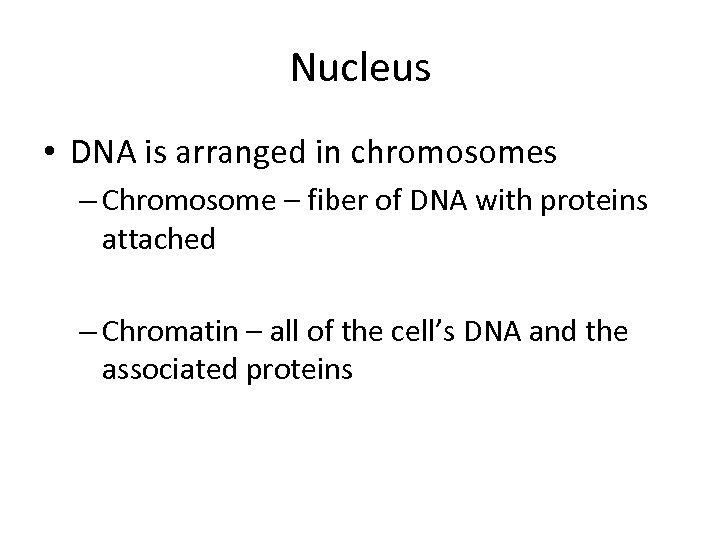 Nucleus • DNA is arranged in chromosomes – Chromosome – fiber of DNA with