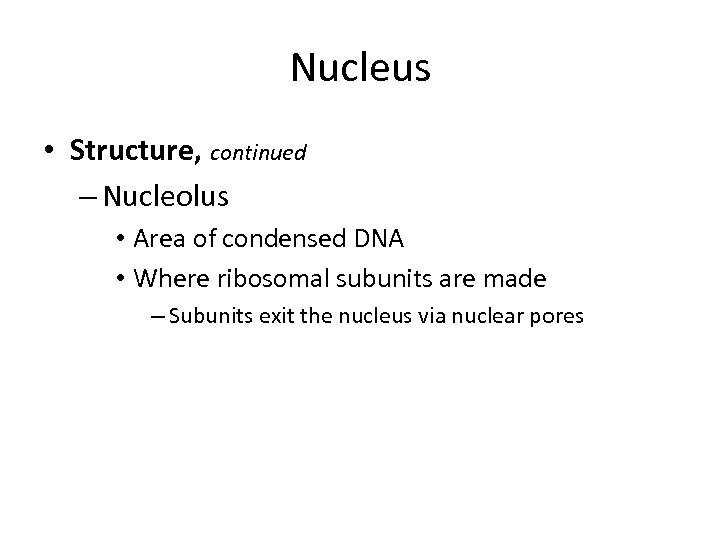 Nucleus • Structure, continued – Nucleolus • Area of condensed DNA • Where ribosomal