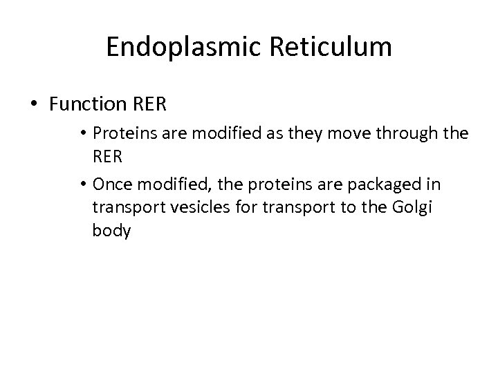 Endoplasmic Reticulum • Function RER • Proteins are modified as they move through the