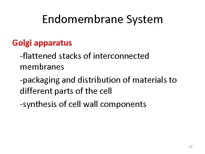 Endomembrane System Golgi apparatus -flattened stacks of interconnected membranes -packaging and distribution of materials