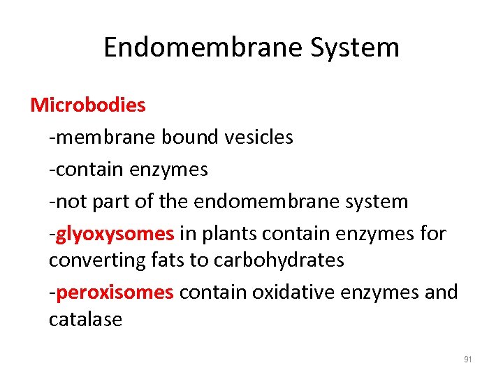 Endomembrane System Microbodies -membrane bound vesicles -contain enzymes -not part of the endomembrane system