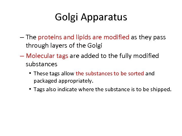 Golgi Apparatus – The proteins and lipids are modified as they pass through layers