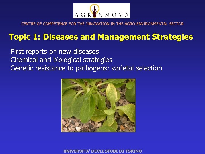 CENTRE OF COMPETENCE FOR THE INNOVATION IN THE AGRO-ENVIRONMENTAL SECTOR Topic 1: Diseases and