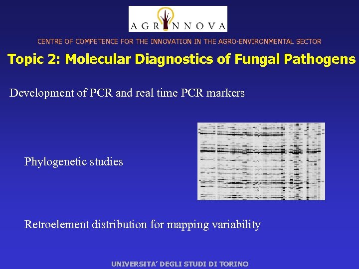 CENTRE OF COMPETENCE FOR THE INNOVATION IN THE AGRO-ENVIRONMENTAL SECTOR Topic 2: Molecular Diagnostics