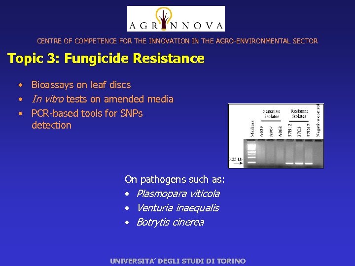 CENTRE OF COMPETENCE FOR THE INNOVATION IN THE AGRO-ENVIRONMENTAL SECTOR Topic 3: Fungicide Resistance