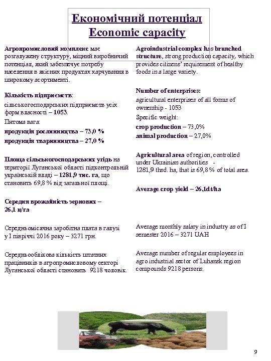 Економічний потенціал Economic capacity Агропромисловий комплекс має розгалужену структуру, міцний виробничий потенціал, який забезпечує