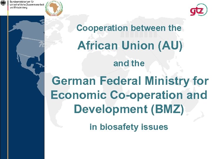 Cooperation between the African Union (AU) and the German Federal Ministry for Economic Co-operation