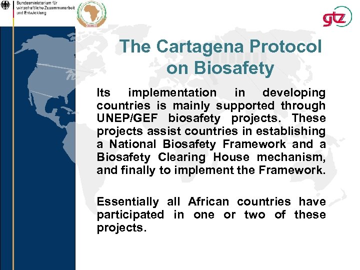 The Cartagena Protocol on Biosafety Its implementation in developing countries is mainly supported through