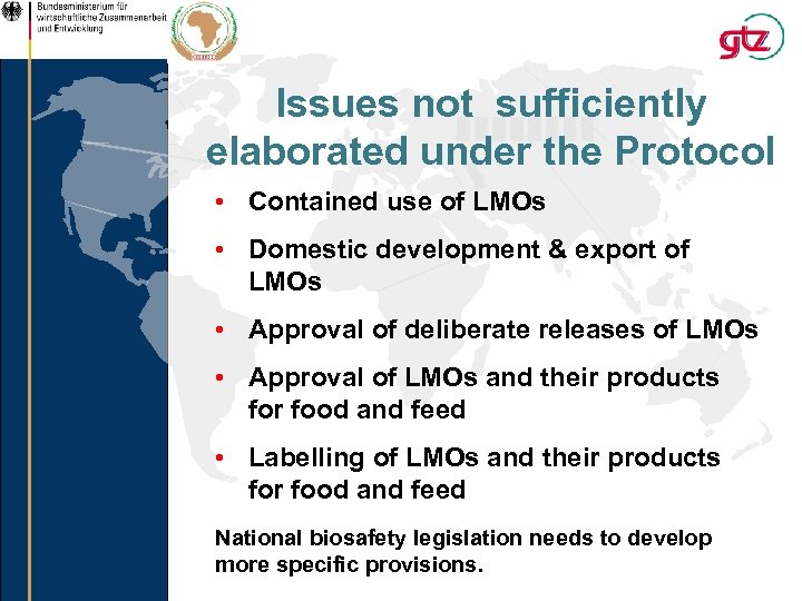 Issues not sufficiently elaborated under the Protocol • Contained use of LMOs • Domestic