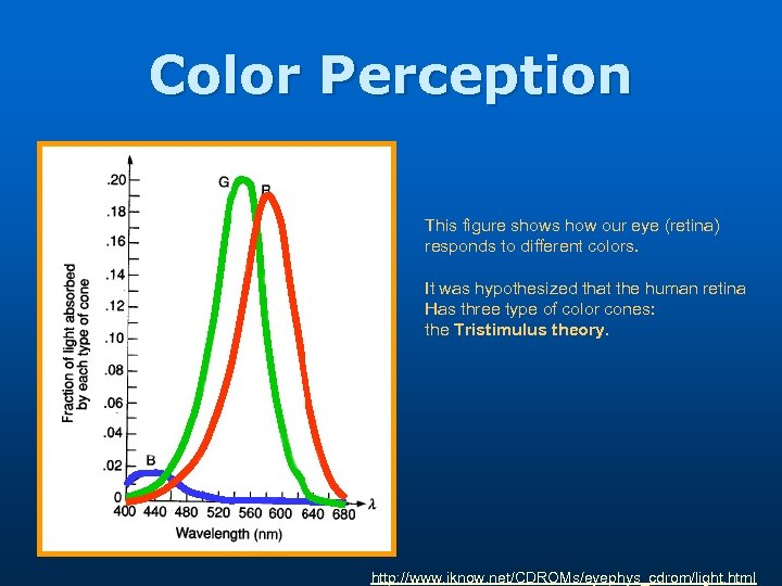 Color Perception This figure shows how our eye (retina) responds to different colors. It